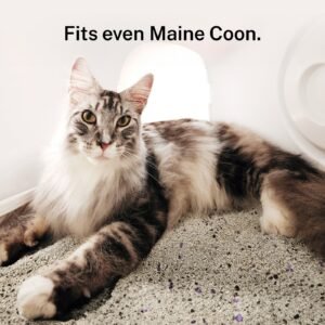 Self-cleaning Litter Box CS106